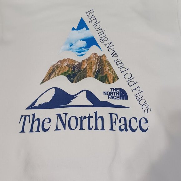 The North Face Mens Places We Love Pullover Hoodie Garden White Size Small Soft - Picture 10 of 16